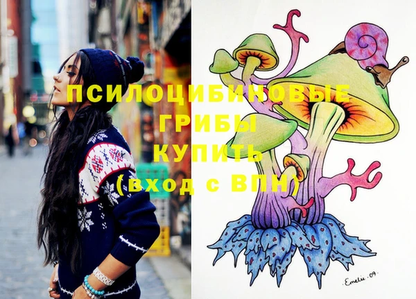 винт Бугульма